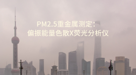 斯派克偏振能量色散X熒光分析儀：PM2.5重金屬測(cè)定